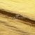 Текстильный материал "Диско"#1805 с покрытием РЕТ, 40гр/м2, 100% полиэстер, цв.5-золото - купить в Октябрьском. Цена 412.36 руб.