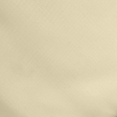 Ткань подкладочная Таффета 14-1014, антист., 53 гр/м2, шир.150см, цвет бежевый - купить в Октябрьском. Цена 62.37 руб.