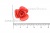 Украшение "Розы малые №1" 20мм - купить в Октябрьском. Цена: 32.49 руб.