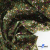 Ткань костюмная «Микровельвет велюровый принт», 220 г/м2, 97% полиэстр, 3% спандекс, ш. 150См Цв  #9 - купить в Октябрьском. Цена 439.76 руб.