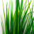 Трава искусственная -2, шт (осока 41см/8 см)				 - купить в Октябрьском. Цена: 104.57 руб.