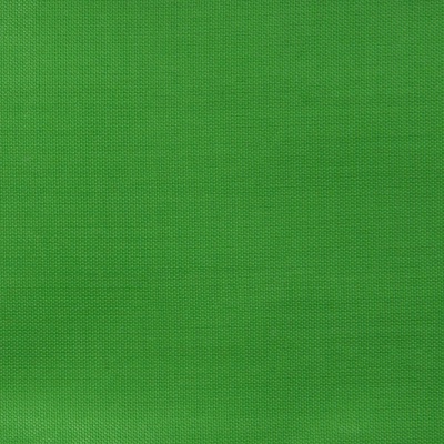 Ткань подкладочная Таффета 17-6153, 48 гр/м2, шир.150см, цвет трава - купить в Октябрьском. Цена 54.64 руб.