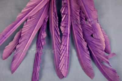 Декоративный Пучок из перьев, перо 25см/фиолетовый - купить в Октябрьском. Цена: 12.19 руб.