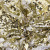 Трикотажное полотно, Сетка с пайетками, шир.130 см, #315, цв.-белый/золото - купить в Октябрьском. Цена 693.39 руб.