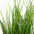 Трава искусственная -4, шт  (осока 50 см/8 см  7 листов)				 - купить в Октябрьском. Цена: 130.73 руб.